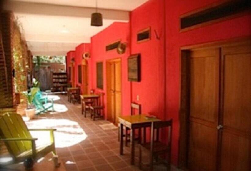 호스텔 Posada Paloma