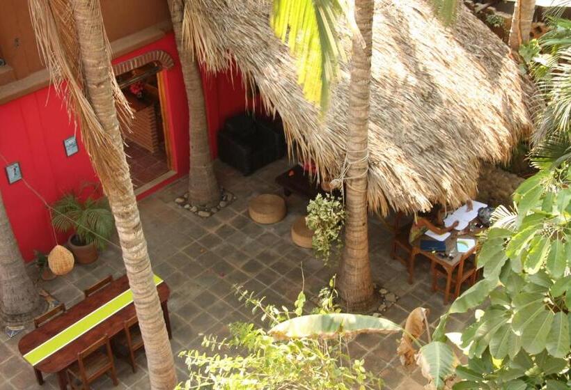 호스텔 Posada Paloma