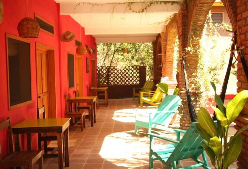 호스텔 Posada Paloma