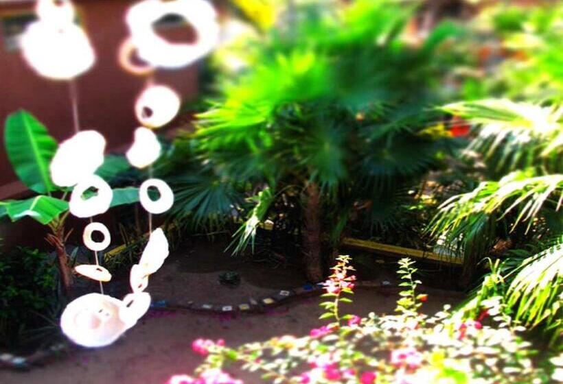 호스텔 Posada Paloma