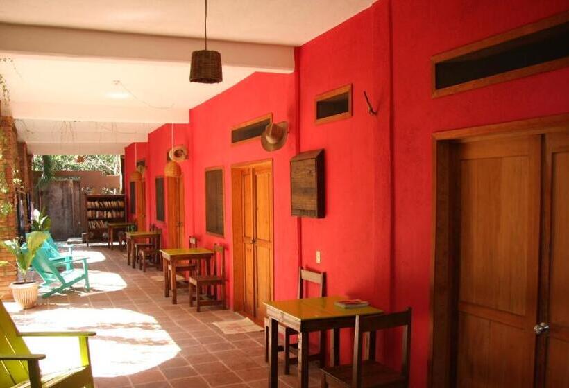 호스텔 Posada Paloma