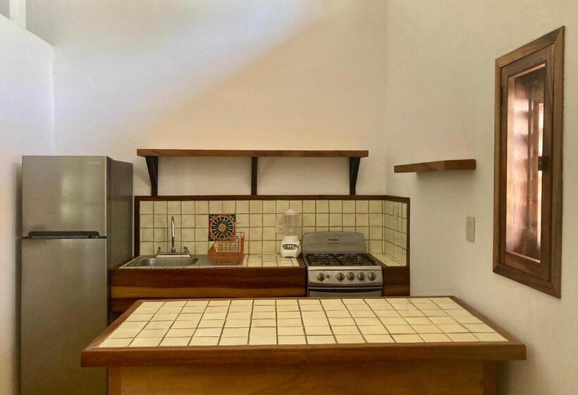 호스텔 Posada Paloma