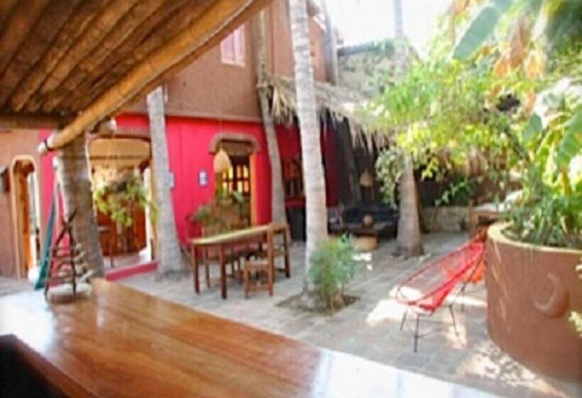 호스텔 Posada Paloma