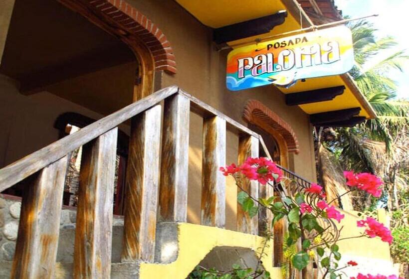 호스텔 Posada Paloma