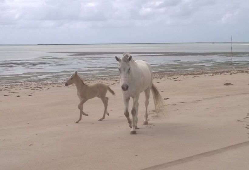 הוסטל Pousada Villa Tatuamunha