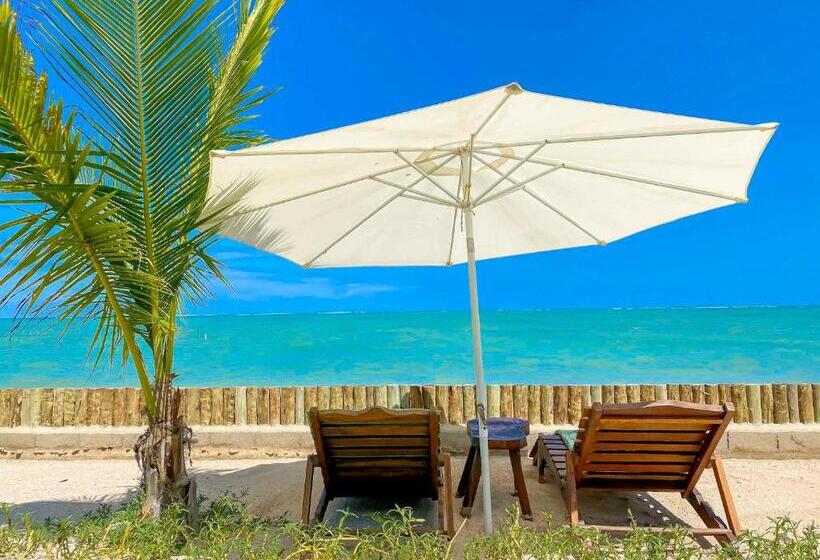 הוסטל Pousada Villa Tatuamunha