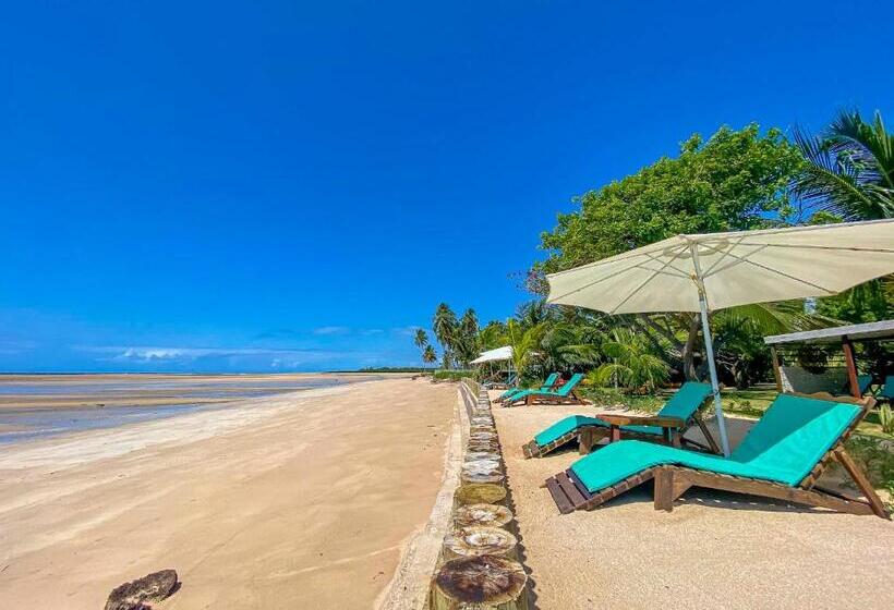 הוסטל Pousada Villa Tatuamunha