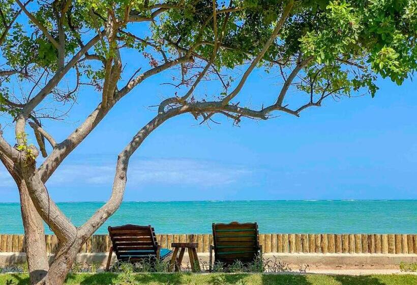 הוסטל Pousada Villa Tatuamunha