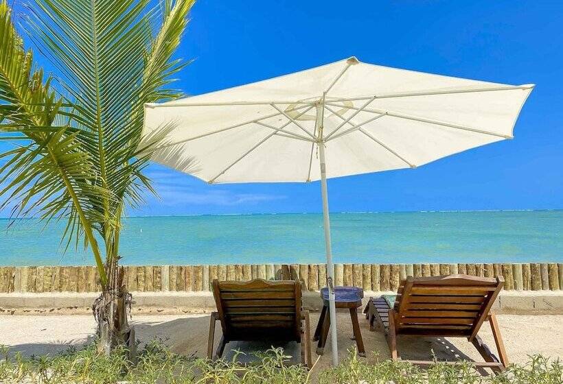 הוסטל Pousada Villa Tatuamunha