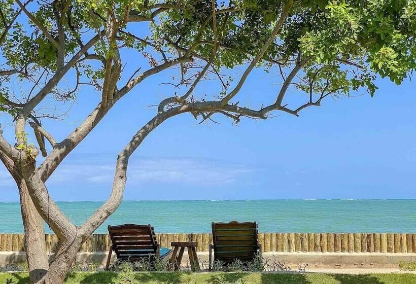 הוסטל Pousada Villa Tatuamunha