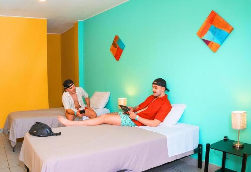 هاستل Wild Rover Huacachina