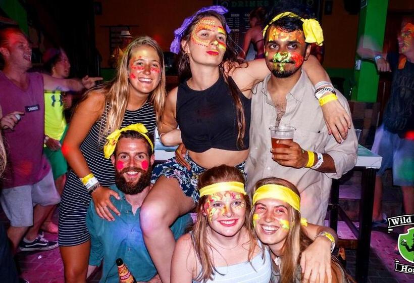 هاستل Wild Rover Huacachina