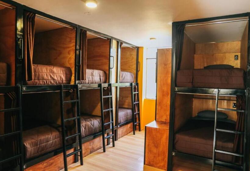 هاستل Wild Rover Huacachina