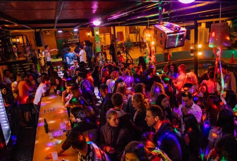 هاستل Wild Rover Huacachina