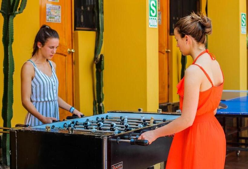 هاستل Wild Rover Huacachina