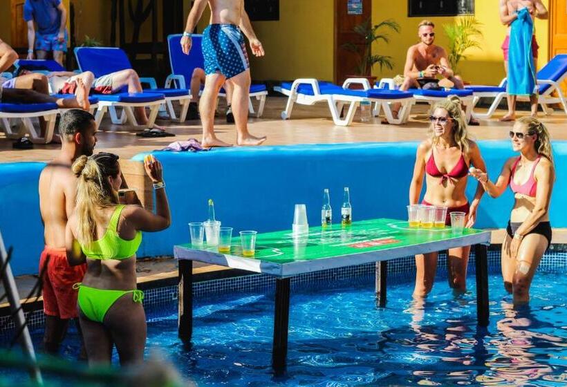 هاستل Wild Rover Huacachina