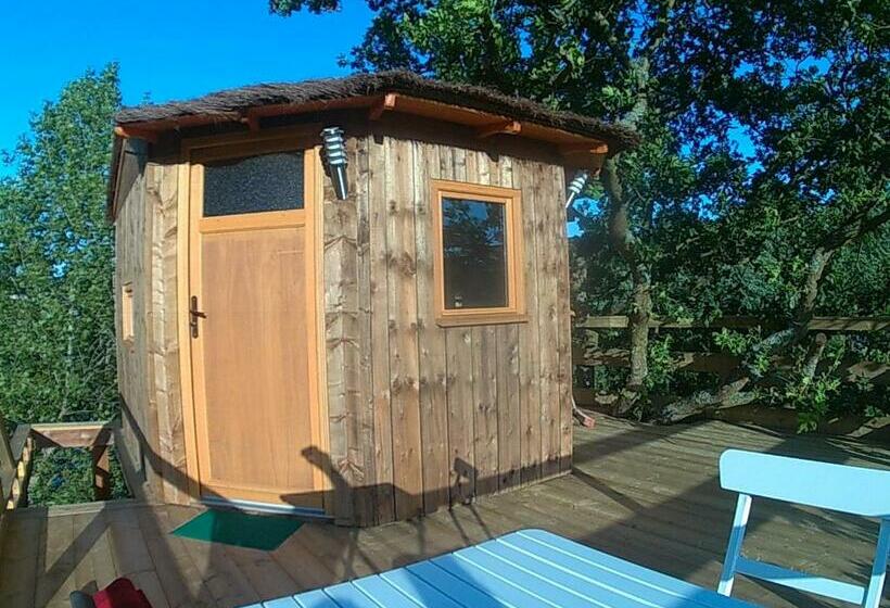 ベッドアンドブレックファースト Cabane Perchée Dans La Prairie De L Ancien Moulin