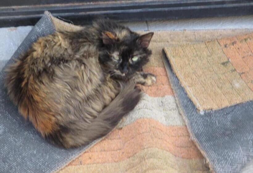 مبيت وإفطار Lontani Da Casa Asd