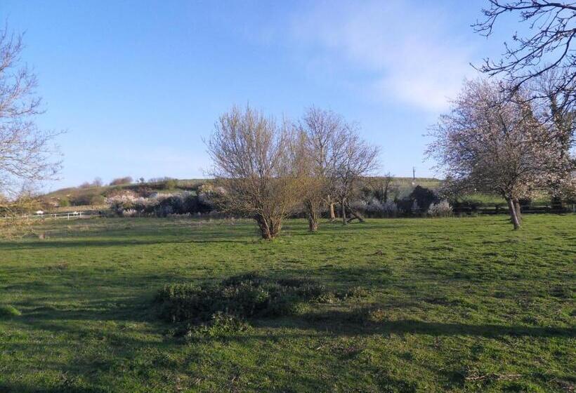 צימר Les Roulottes Des Songes De L Authie