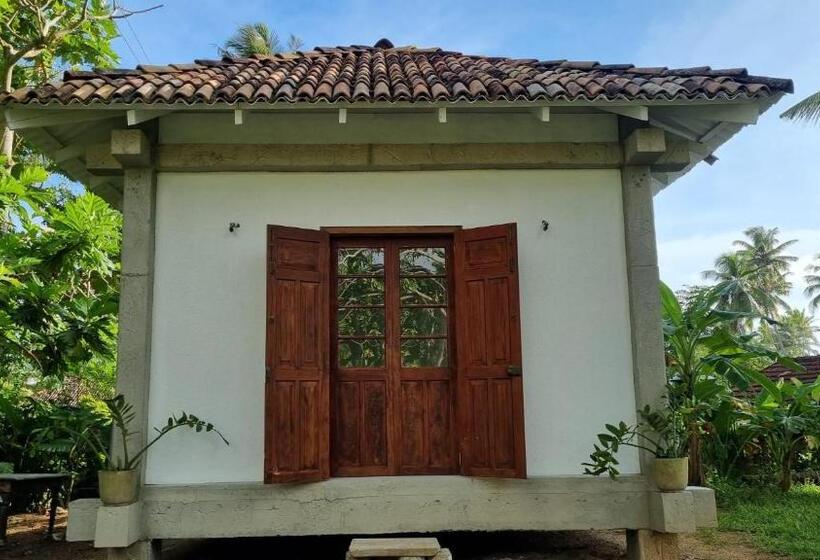 Отель Colive Ahangama