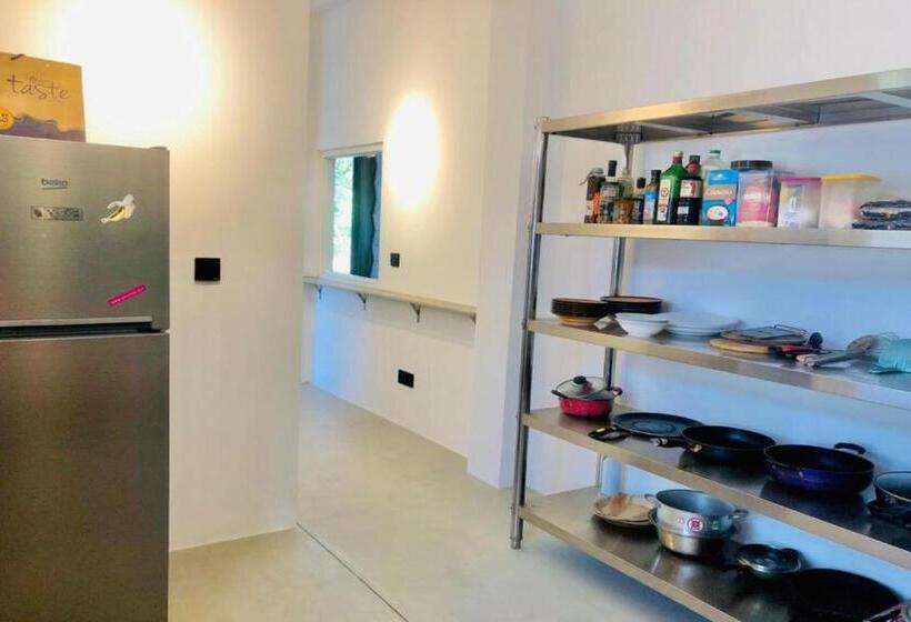 Отель Colive Ahangama