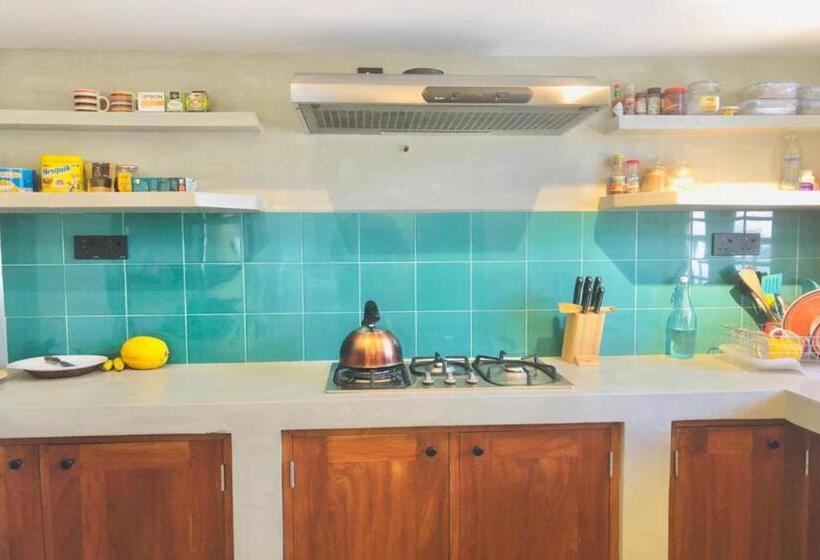 Отель Colive Ahangama