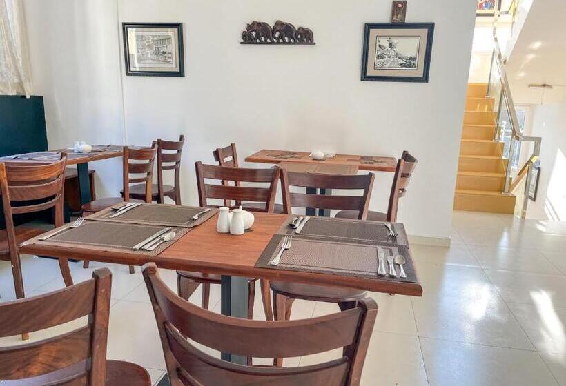 בית מלון כפרי My City