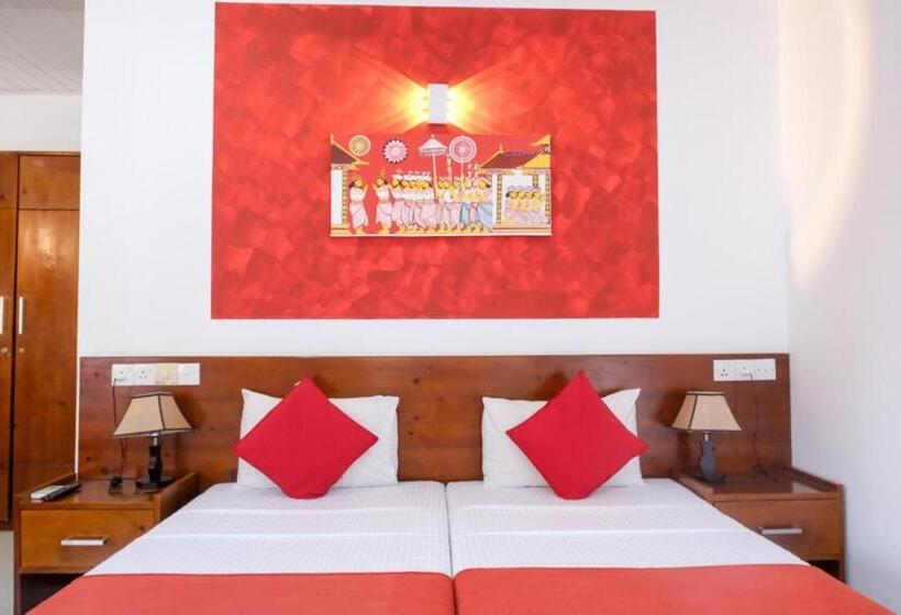 בית מלון כפרי My City