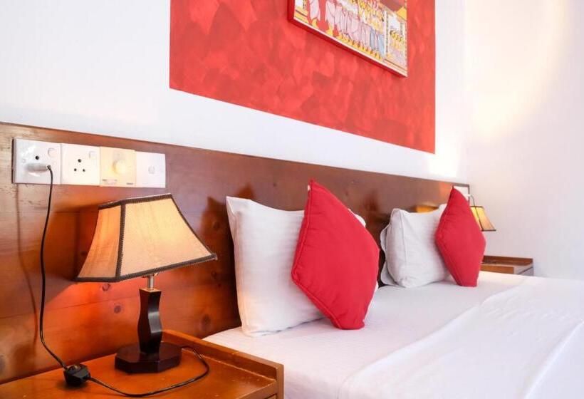 בית מלון כפרי My City