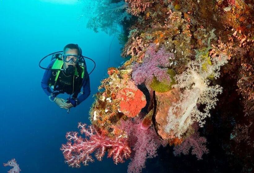 Magic Oceans Dive Resort