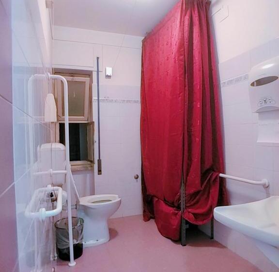 膳宿费 Ciclamino Siracusa