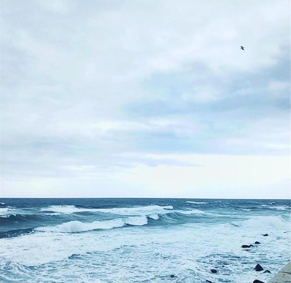 膳宿费 Ciclamino Siracusa