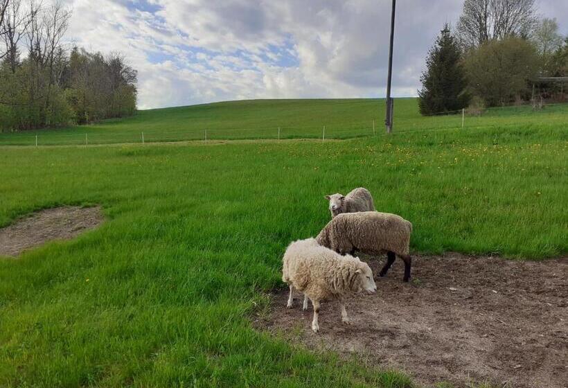 膳宿费 Penzion Severka