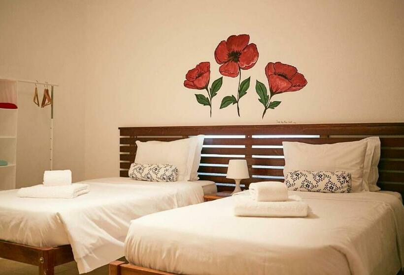 פנסיון Surf House Helena