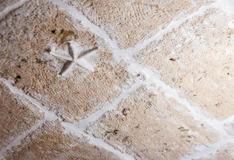 פנסיון Terracielo Guest House