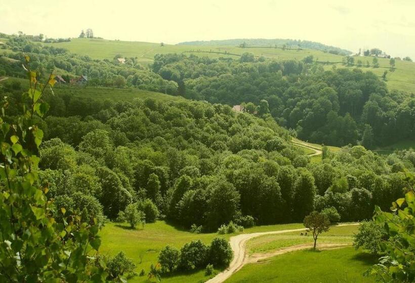 Pensiunea 7 Brazi