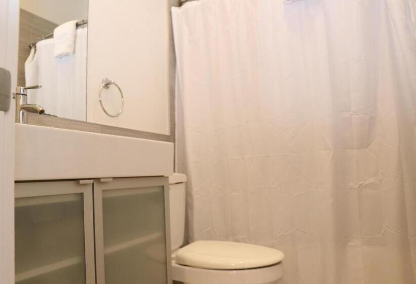 Downtown Beacon Hill, Convenient, Comfy Studio #1