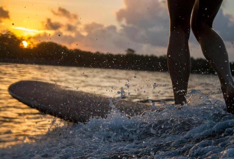 캡슐 호텔 Bk Homestay, Batukaras