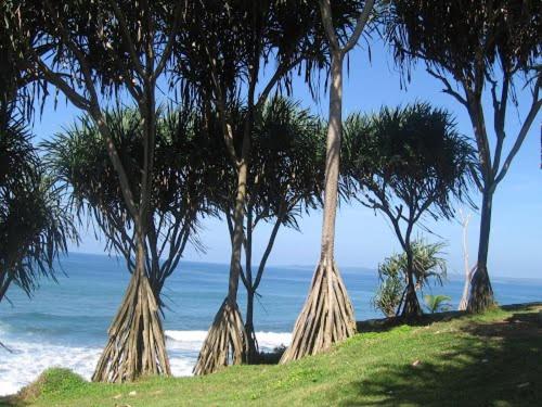 캡슐 호텔 Bk Homestay, Batukaras