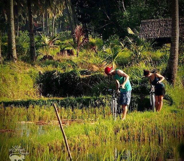 캡슐 호텔 Bk Homestay, Batukaras