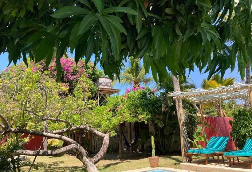 בית מלון כפרי La Maison Blanche