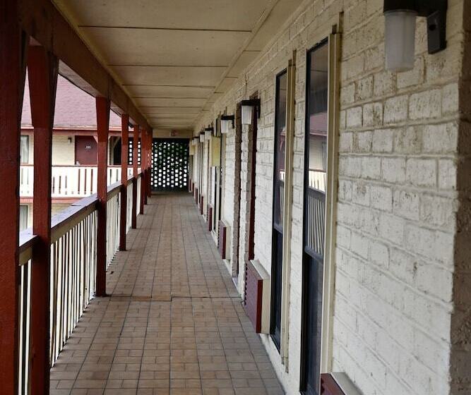 汽车旅馆 Rittiman Inn And Suites