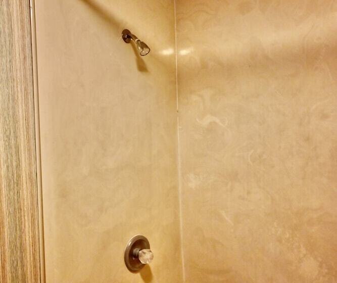 汽车旅馆 Rittiman Inn And Suites