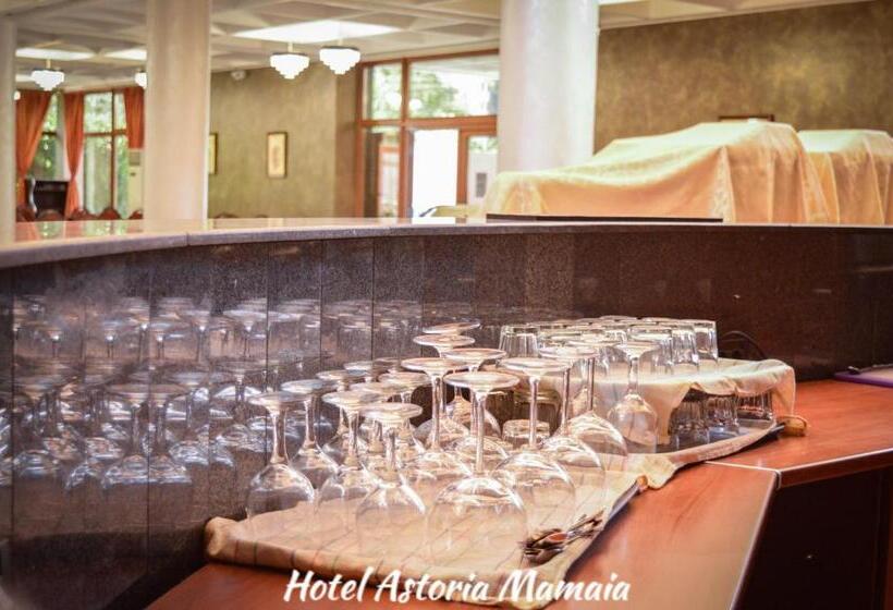 בית מלון כפרי Astoria