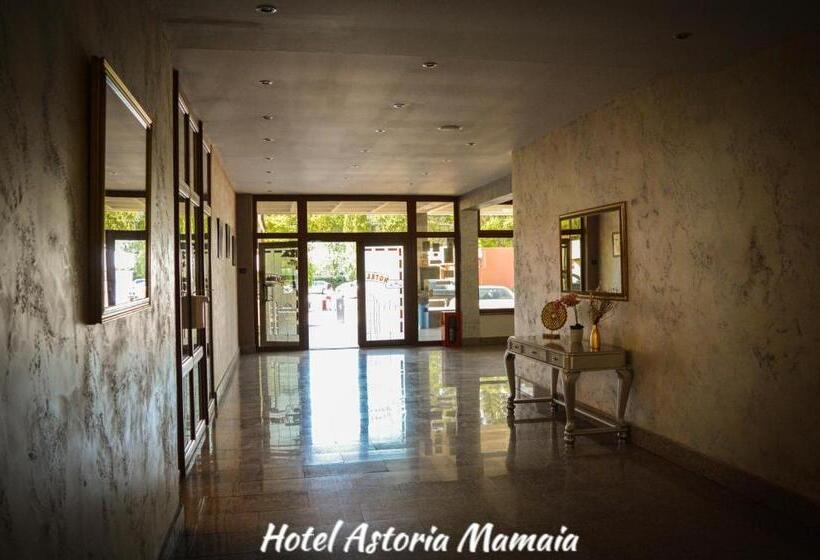 בית מלון כפרי Astoria