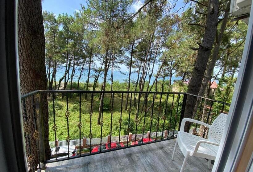 هتل Bajo Shekvetili