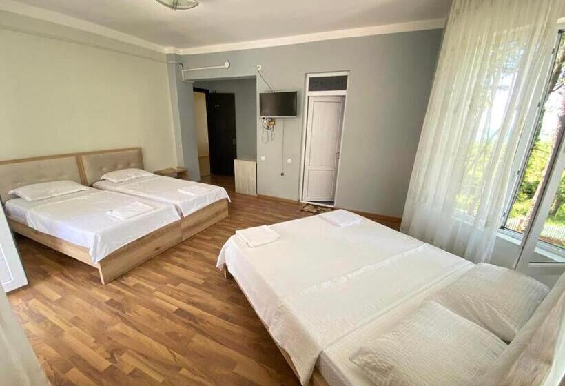 هتل Bajo Shekvetili