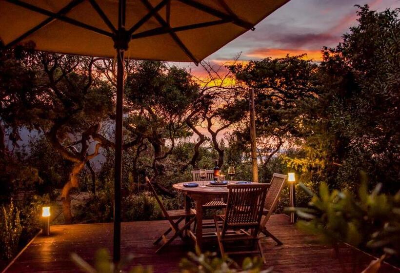 ホテル Resort Riva Degli Etruschi