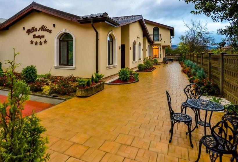 בית מלון כפרי Villa Boutique Alina
