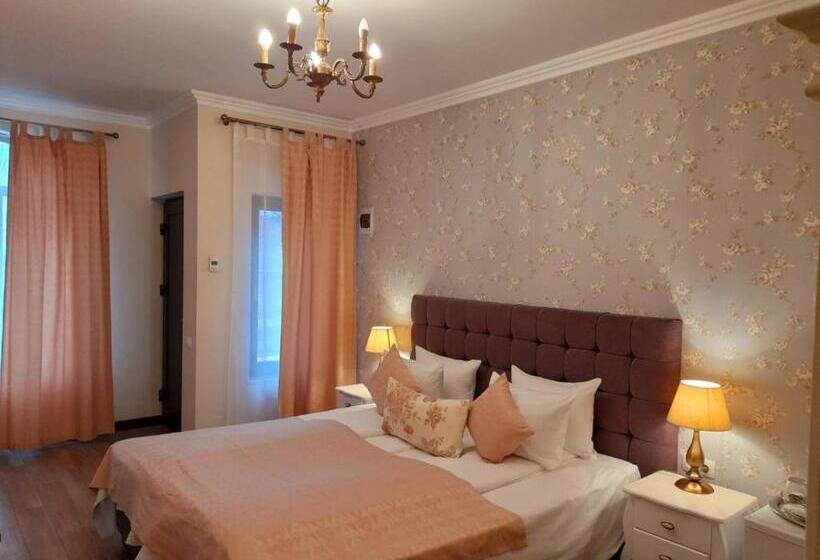 בית מלון כפרי Villa Boutique Alina